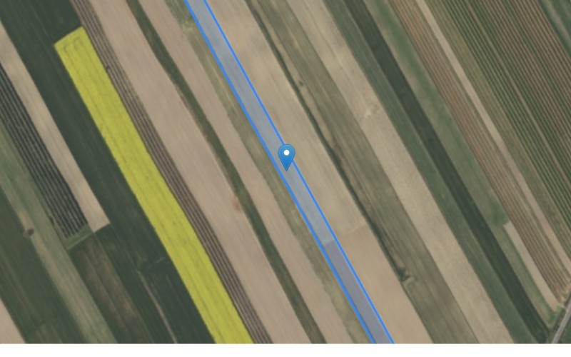 Grunt w miejscowości Rzeczyca Ziemiańska, Rzeczyca Ziemiańska (lubelskie). Działka numer: 2195. Działki i grunty. Rzeczyca Ziemiańska, 23-230, Rzeczyca Ziemiańska, (woj. lubelskie)