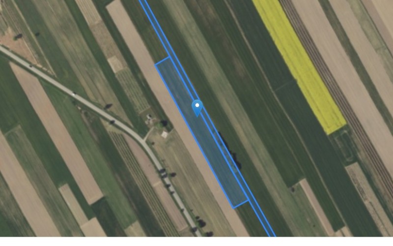 Grunt w miejscowości Rzeczyca Ziemiańska, Rzeczyca Ziemiańska (lubelskie). Działki numer: 669, 665/3. Działki i grunty. Rzeczyca Ziemiańska, 23-230, Rzeczyca Ziemiańska, (woj. lubelskie)