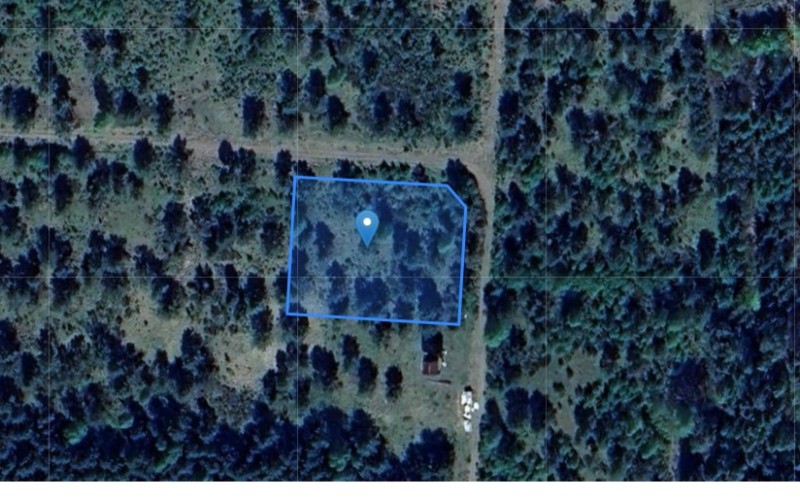 Grunt w miejscowości Powidz, Powidz (zachodniopomorskie). Działka numer: 91/15. Działki i grunty. Powidz, 76-010, Powidz, (woj. zachodniopomorskie)