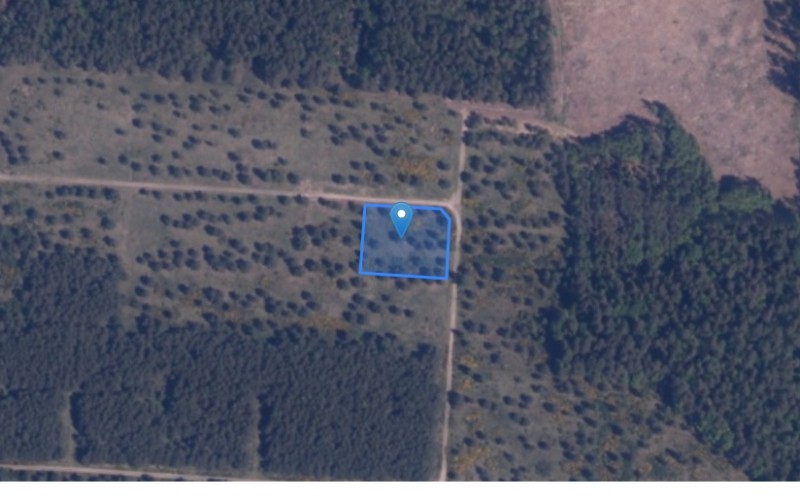 Grunt w miejscowości Powidz, Powidz (zachodniopomorskie). Działka numer: 91/15. Działki i grunty. Powidz, 76-010, Powidz, (woj. zachodniopomorskie)