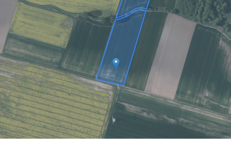 Grunt w miejscowości Łozina, Łozina (dolnośląskie). Działki numer: 242, 231, 183, 176, 232. Działki i grunty. Łozina, 55-094, Łozina, (woj. dolnośląskie)