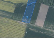 Grunt w miejscowości Łozina, Łozina (dolnośląskie). Działki numer: 242, 231, 183, 176, 232. Działki i grunty. Łozina, 55-094, Łozina, (woj. dolnośląskie)