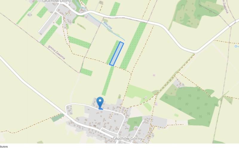 Dom w miejscowości Głuchów Górny, Głuchów Górny (dolnośląskie). Działki numer: 4/4, 21/13. Domy. Głuchów Górny, 55-100, Głuchów Górny, (woj. dolnośląskie)