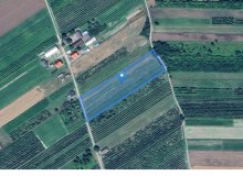 Grunt w miejscowości Natalin, Natalin (lubelskie). Działka numer: 234. Działki i grunty. Natalin, 20-400, Natalin, (woj. lubelskie)