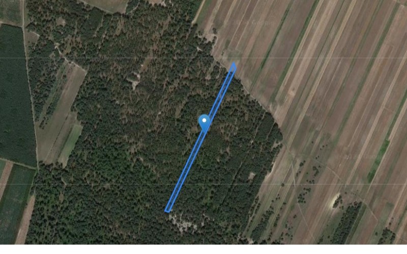 Grunt w miejscowości Zarębice, Zarębice (śląskie). Działka numer: 249. Działki i grunty. Zarębice, 42-250, Zarębice, (woj. śląskie)