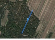 Grunt w miejscowości Zarębice, Zarębice (śląskie). Działka numer: 249. Działki i grunty. Zarębice, 42-250, Zarębice, (woj. śląskie)