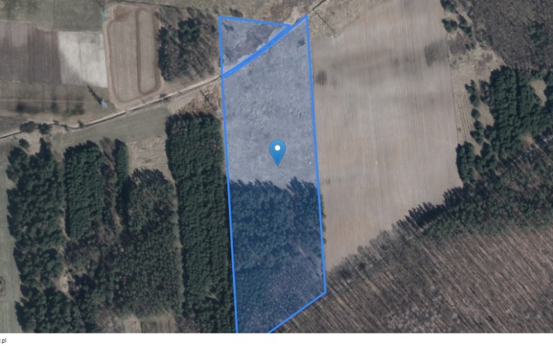 Grunt w miejscowości Rudzienko, Rudzienko (mazowieckie). Działki numer: 1002, 1003. Działki i grunty. Rudzienko, 05-307, Rudzienko, (woj. mazowieckie)