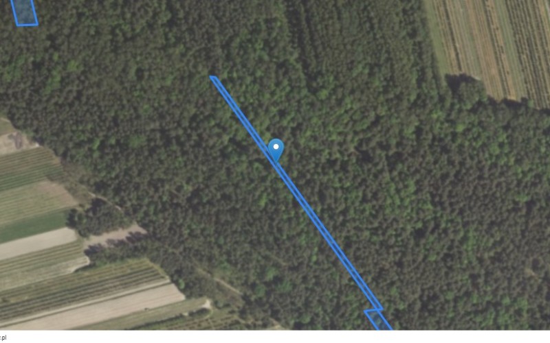 Grunt w miejscowości Kaliszany-Kolonia, Kaliszany-Kolonia (lubelskie). Działki numer: 84, 348, 533, 606. Działki i grunty. Kaliszany-Kolonia, 24-340, Kolonia Kaliszany, gm. Józefów nad Wisłą, (woj. lubelskie)