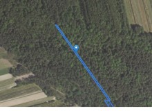 Grunt w miejscowości Kaliszany-Kolonia, Kaliszany-Kolonia (lubelskie). Działki numer: 84, 348, 533, 606. Działki i grunty. Kaliszany-Kolonia, 24-340, Kolonia Kaliszany, gm. Józefów nad Wisłą, (woj. lubelskie)