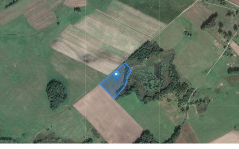 Grunt w miejscowości Ognica, Ognica (zachodniopomorskie). Działka numer: 57. Działki i grunty. Ognica, 73-130, Ognica, (woj. zachodniopomorskie)