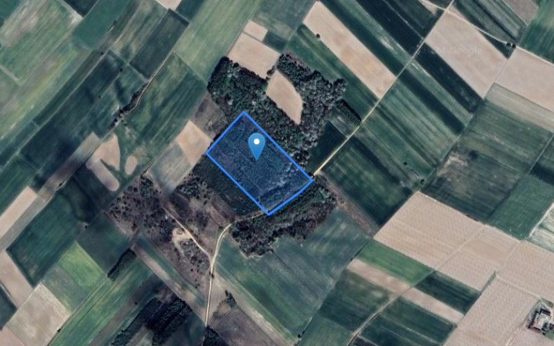 Grunt w miejscowości Rudnik, Rudnik (lubelskie). Działka numer: 86. Działki i grunty. Rudnik, 22-330, Rudnik, (woj. lubelskie)