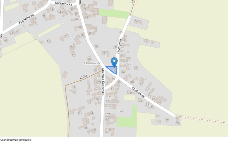 Dom w miejscowości Borucin, Chabowiec 1 (śląskie). Działka numer: 60. Domy. Chabowiec 1, 47-470, Borucin, (woj. śląskie)