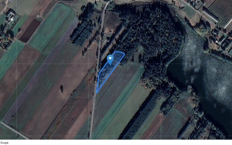 Grunt w miejscowości Taciewo, Taciewo (podlaskie). Działka numer: 40/3. Działki i grunty. Taciewo, 16-425, Suwałki, (woj. podlaskie)