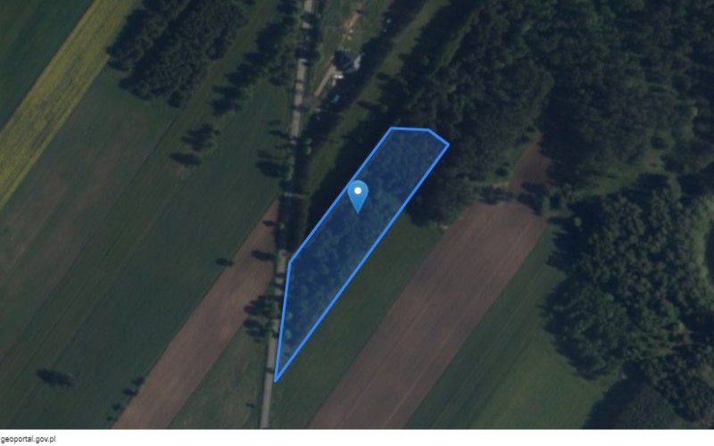 Grunt w miejscowości Taciewo, Taciewo (podlaskie). Działka numer: 40/3. Działki i grunty. Taciewo, 16-425, Suwałki, (woj. podlaskie)