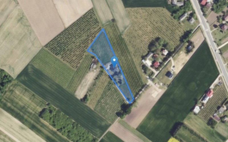 Dom w miejscowości Pęchów, Pęchów 82A (świętokrzyskie). Działka numer: 251. Domy. Pęchów 82A, 27-640, Pęchów, (woj. świętokrzyskie)