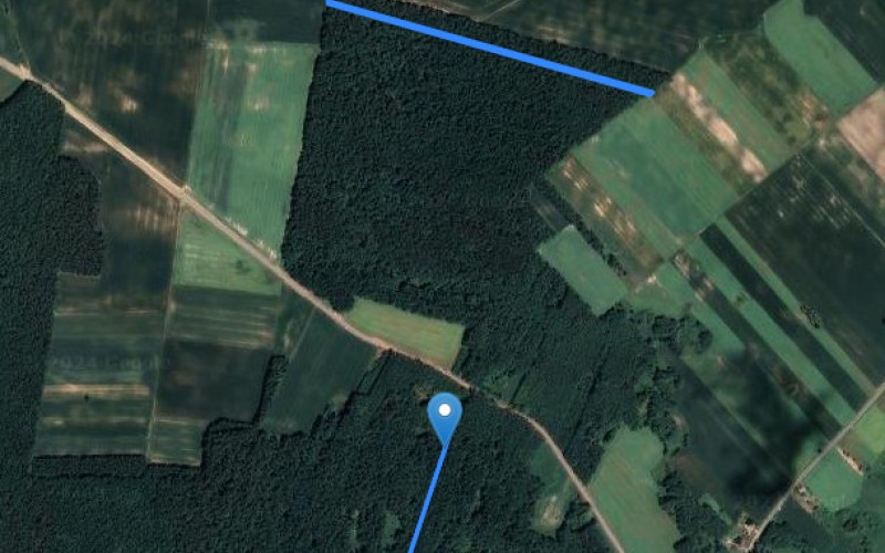Grunt w miejscowości Krobonosz, Krobonosz (lubelskie). Działki numer: 31, 239. Działki i grunty. Krobonosz, 22-107, Krobonosz, (woj. lubelskie)