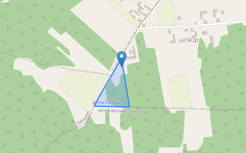 Dom w miejscowości Słup, Słup 38 (mazowieckie). Działka numer: 1. Domy. Słup 38, 08-441, Słup, (woj. mazowieckie)