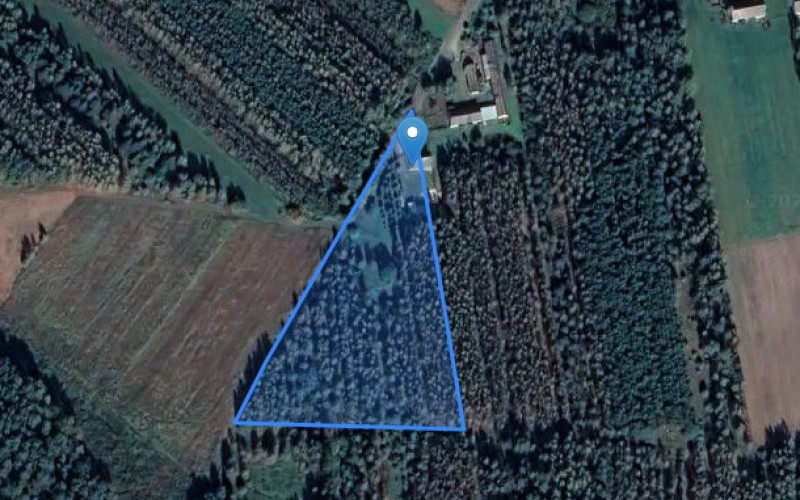 Dom w miejscowości Słup, Słup 38 (mazowieckie). Działka numer: 1. Domy. Słup 38, 08-441, Słup, (woj. mazowieckie)