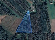 Dom w miejscowości Słup, Słup 38 (mazowieckie). Działka numer: 1. Domy. Słup 38, 08-441, Słup, (woj. mazowieckie)