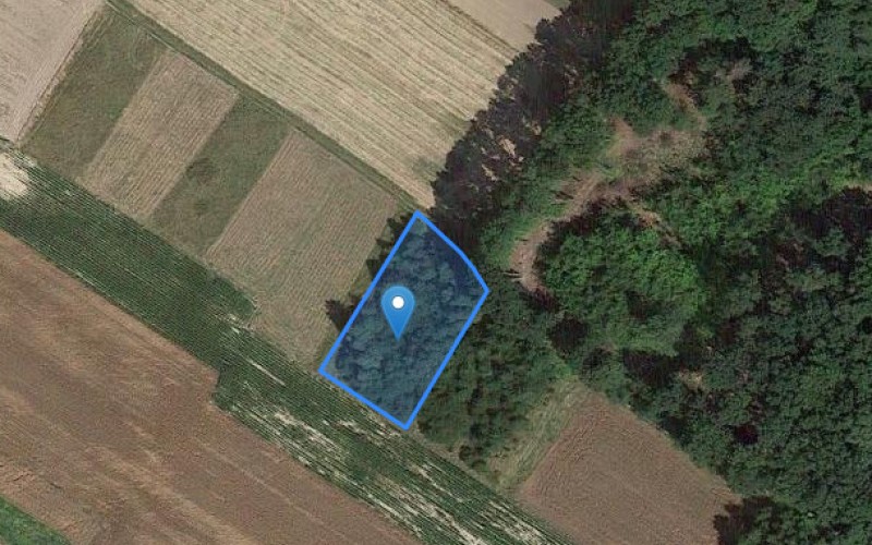 Grunt w miejscowości Wysoka, Wysoka (podkarpackie). Działka numer: 3081. Działki i grunty. Wysoka, 37-122, Wysoka, (woj. podkarpackie)
