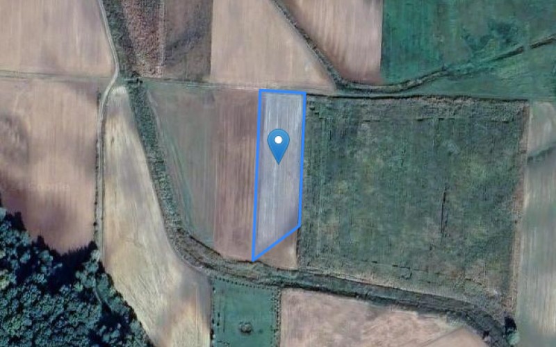 Grunt w miejscowości Piwoda, Piwoda (podkarpackie). Działka numer: 1177. Działki i grunty. Piwoda, 37-522, Piwoda, (woj. podkarpackie)