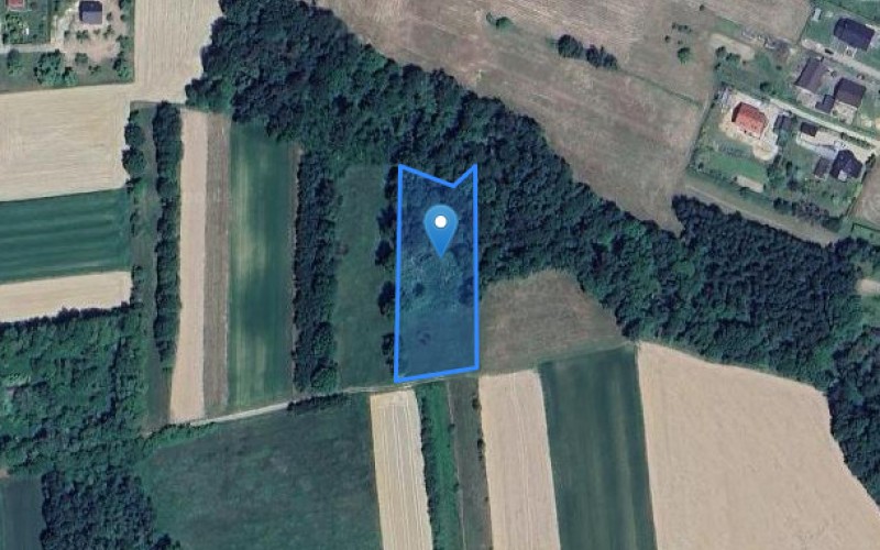 Grunt w miejscowości Gdów, Gdów (małopolskie). Działka numer: 99. Działki i grunty. Gdów, 32-420, Gdów, (woj. małopolskie)