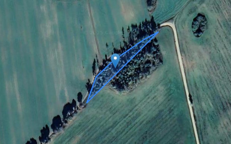 Grunt w miejscowości Drzewianowo, Drzewianowo (kujawsko-pomorskie). Działka numer: 24. Działki i grunty. Drzewianowo, 89-115, Drzewianowo, (woj. kujawsko-pomorskie)