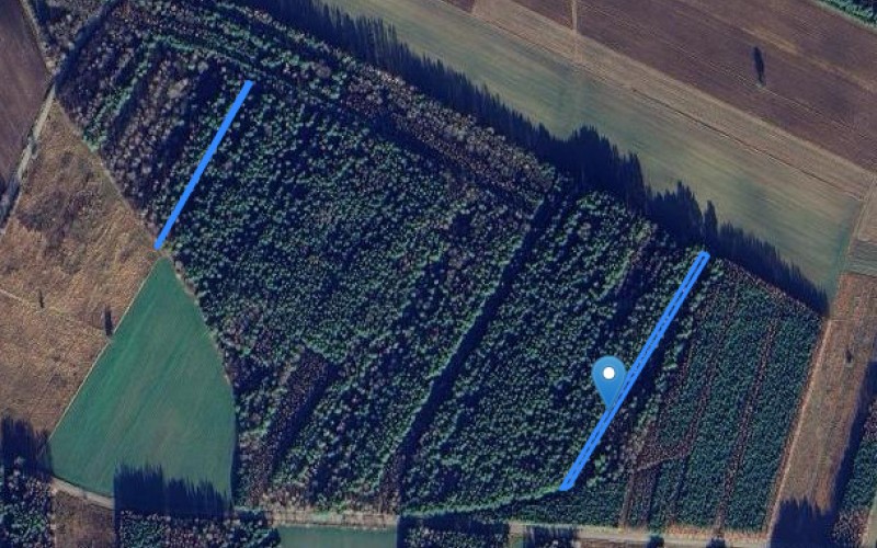 Grunt w miejscowości Dzbenin, Dzbenin (mazowieckie). Działki numer: 441, 397. Działki i grunty. Dzbenin, 07-405, Dzbenin, (woj. mazowieckie)