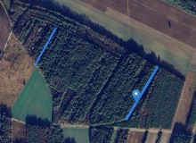 Grunt w miejscowości Dzbenin, Dzbenin (mazowieckie). Działki numer: 441, 397. Działki i grunty. Dzbenin, 07-405, Dzbenin, (woj. mazowieckie)