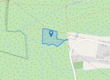 Grunt w miejscowości Czarnowo, Czarnowo (lubuskie). Działka numer: 6/5. Czarnowo, 66-600, Czarnowo, (woj. lubuskie)