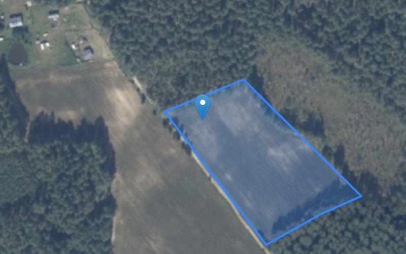 Grunt w miejscowości Jeleniowo, Jeleniowo (warmińsko-mazurskie). Działka numer: 237. Działki i grunty. Jeleniowo, 12-120, Jeleniowo, (woj. warmińsko-mazurskie)