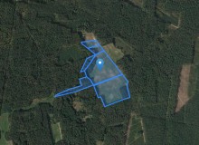 Grunt w miejscowości Jeleniowo, Jeleniowo (warmińsko-mazurskie). Działki numer: 242/6, 242/7, 242/8, 242/1, 242/2, 244. Działki i grunty. Jeleniowo, 12-120, Jeleniowo, (woj. warmińsko-mazurskie)