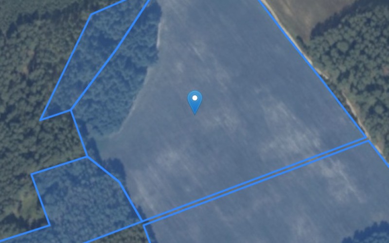 Grunt w miejscowości Jeleniowo, Jeleniowo (warmińsko-mazurskie). Działki numer: 242/6, 242/7, 242/8, 242/1, 242/2, 244. Działki i grunty. Jeleniowo, 12-120, Jeleniowo, (woj. warmińsko-mazurskie)