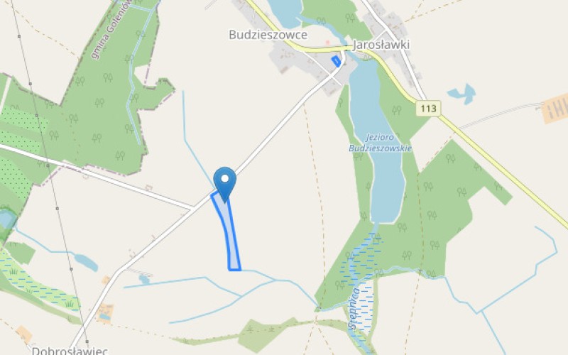 Grunt w miejscowości Budzieszowce, Budzieszowce (zachodniopomorskie). Działki numer: 47/1, 73. Działki i grunty. Budzieszowce, 72-130, Budzieszowce, (woj. zachodniopomorskie)