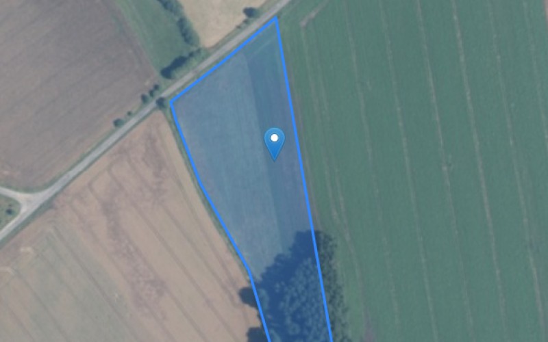 Grunt w miejscowości Budzieszowce, Budzieszowce (zachodniopomorskie). Działki numer: 47/1, 73. Działki i grunty. Budzieszowce, 72-130, Budzieszowce, (woj. zachodniopomorskie)