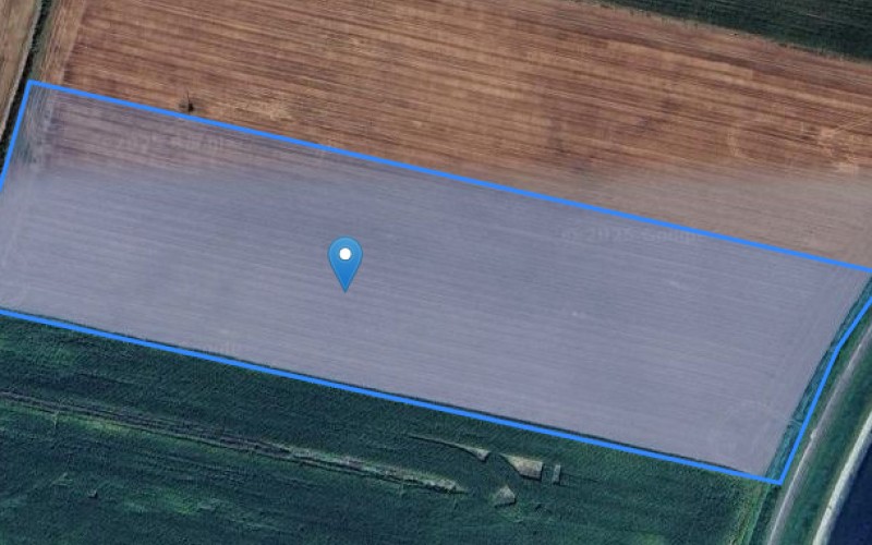 Grunt w miejscowości Stary Raduszec, Stary Raduszec (lubuskie). Działka numer: 203. Działki i grunty. Stary Raduszec, 66-600, Stary Raduszec, (woj. lubuskie)