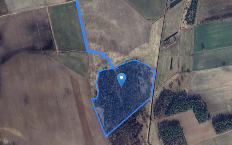 Grunt w miejscowości Wieczfnia Kolonia, Wieczfnia Kolonia (mazowieckie). Działka numer: 53/47. Działki i grunty. Wieczfnia Kolonia, 06-513, Wieczfnia Kolonia, (woj. mazowieckie)