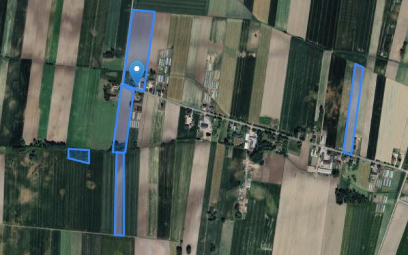 Dom w miejscowości Żychlin, Żychlin 19 (łódzkie). Działki numer: 41, 45, 19, 29, 1. Domy. Żychlin 19, 97-306, Żychlin, (woj. łódzkie)