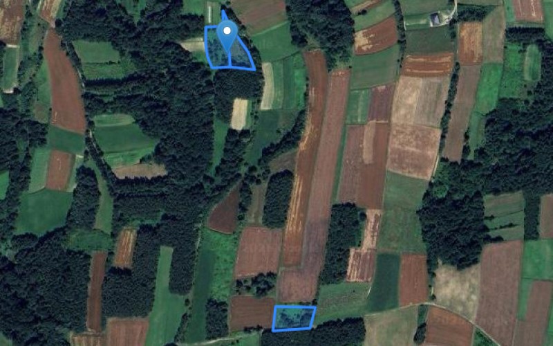 Grunt w miejscowości Nawsie, Nawsie (podkarpackie). Działki numer: 4251, 4252, 4221. Działki i grunty. Nawsie, 39-110, Nawsie, (woj. podkarpackie) Grunt w miejscowości Nawsie, Nawsie (podkarpackie). Działki numer: 4251, 4252, 4221. Działki i grunty. Nawsie, 39-110, Nawsie, (woj. podkarpackie)