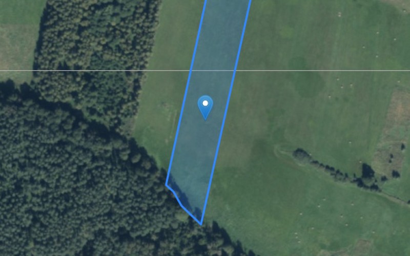 Grunt w miejscowości Kotuń, Kotuń (wielkopolskie). Działka numer: 244. Działki i grunty. Kotuń, 64-980, Kotuń, (woj. wielkopolskie)