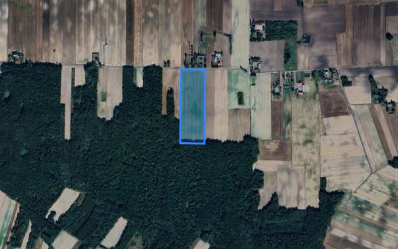 Grunt w miejscowości Małków, Andrzejówka, Małków, Andrzejówka (lubelskie). Działki numer: 239/2, 53, 54. Działki i grunty. Małków, Andrzejówka, 22-530, Małków, Andrzejówka, (woj. lubelskie)