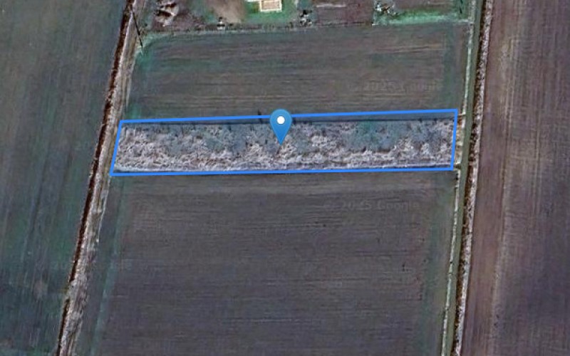 Grunt w miejscowości Nowy Dwór Gdański, Nowy Dwór Gdański (pomorskie). Działka numer: 56/2. Działki i grunty. Nowy Dwór Gdański, 82-100, Nowy Dwór Gdański, (woj. pomorskie)