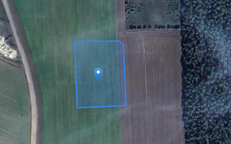 Grunt w miejscowości Wilków, Wilków (łódzkie). Działka numer: 150/8. Działki i grunty. Wilków, 99-205, Wilków, (woj. łódzkie)