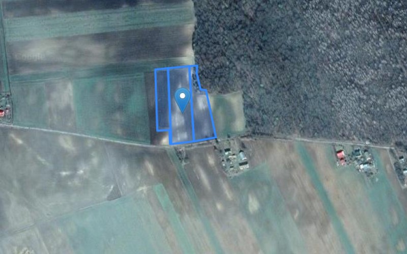 Grunt w miejscowości Szychowice, Szychowice (lubelskie). Działki numer: 317, 318, 319. Działki i grunty. Szychowice, 22-530, Szychowice, (woj. lubelskie)