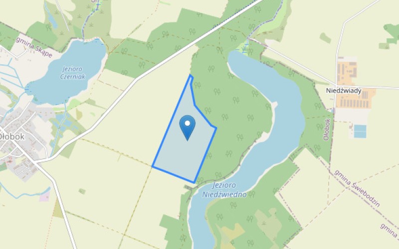 Grunt w miejscowości Ołobok, Ołobok (lubuskie). Działka numer: 499. Działki i grunty. Ołobok, 66-213, Ołobok, (woj. lubuskie)