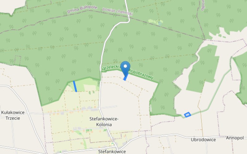 Grunt w miejscowości Stefankowice-Kolonia, Ubrodowice, Stefankowice-Kolonia, Ubrodowice (lubelskie). Działki numer: 507, 176, 410, 409, 177. Działki i grunty. Stefankowice-Kolonia, Ubrodowice, 22-500, Stefankowice-Kolonia, Ubrodowice, (woj. lubelskie)