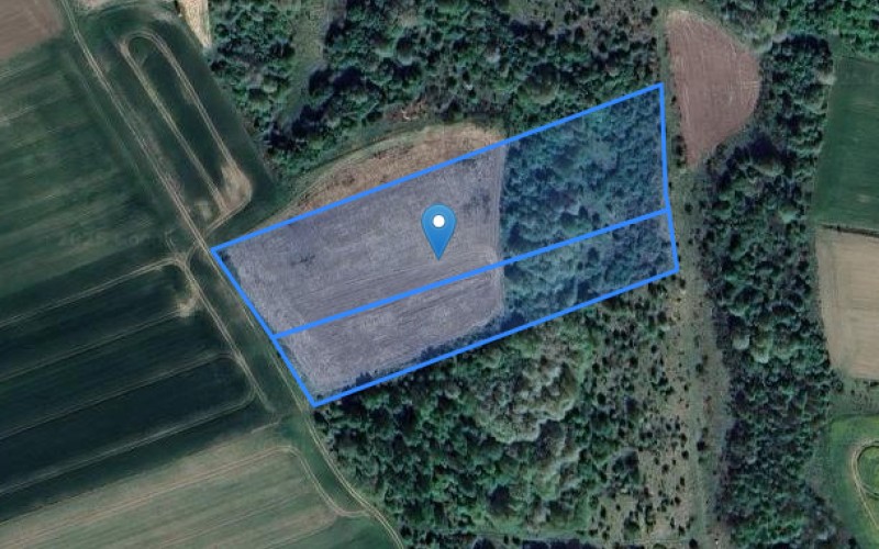 Grunt w miejscowości Toliszczek, Toliszczek (pomorskie). Działki numer: 110, 111. Działki i grunty. Toliszczek, 84-250, Toliszczek, (woj. pomorskie)