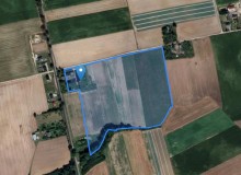 Nieruchomość w miejscowości Gołoty, Gołoty (kujawsko-pomorskie). Gołoty, 86-253, Gołoty, (woj. kujawsko-pomorskie)