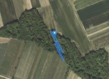 Grunt w miejscowości Bęczyn, Bęczyn (lubelskie). Działki numer: 200, 1920, 1489, 1898. Bęczyn, 23-250, Bęczyn, (woj. lubelskie) Grunt w miejscowości Bęczyn, Bęczyn (lubelskie). Działki numer: 200, 1920, 1489, 1898. Bęczyn, 23-250, Bęczyn, (woj. lubelskie)