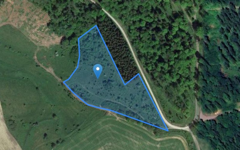 Grunt w miejscowości Czernica, Czernica (dolnośląskie). Działka numer: 684. Działki i grunty. Czernica, 58-521, Czernica, (woj. dolnośląskie)